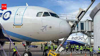 IndiGo aircraft hits parking stand pole at Srinagar airport