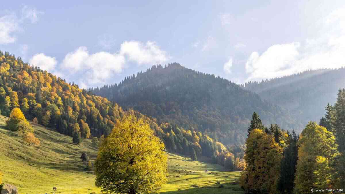 Bis zu 34 Grad, dann der Absturz: Dieses Hoch entscheidet jetzt, wie das Wetter im September wird