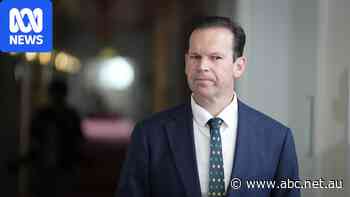 Canavan dismisses manosphere algorithm concerns as 'conspiracy' — as it happened