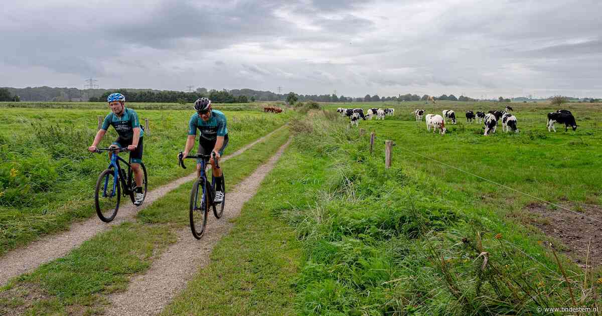 Mountainbiketochten maken steeds meer plaats voor gravelrides: ‘We mogen steeds minder de bossen in’
