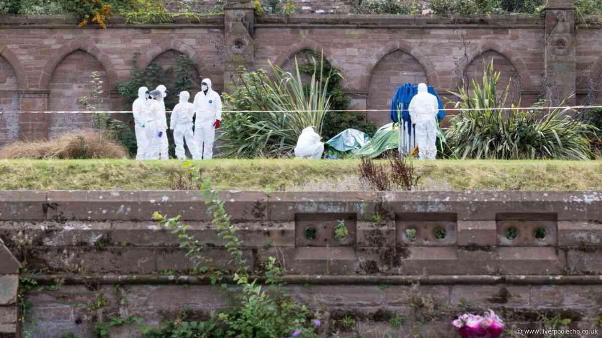 40 names suggested for Stanley Park murder victim but still no one knows who she is