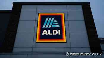 New Aldi £17 item keeps car seats clean when travelling with pets out Thursday