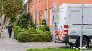 Negen aanhoudingen in Zaanstreek na geweldsexplosie: 'Meerdere conflicten'