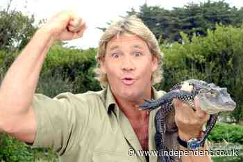 Steve Irwin’s family share moving tributes to ‘Crocodile Hunter’ 20 years after his death