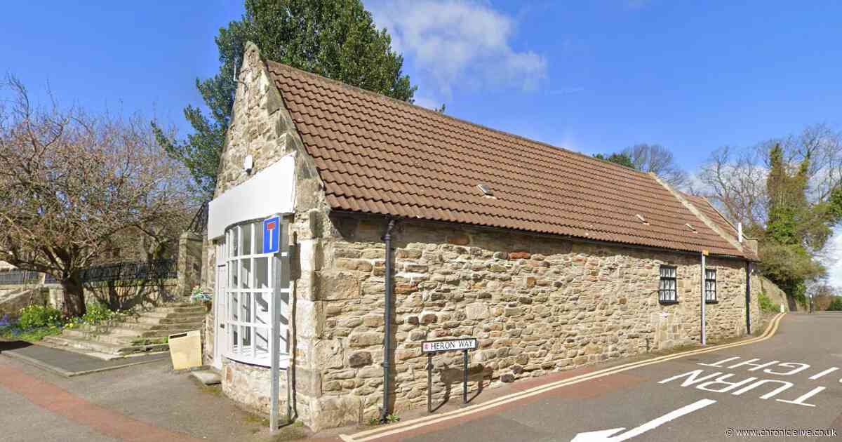 Expanding dog grooming chain could open new North East outlet as plans up for approval