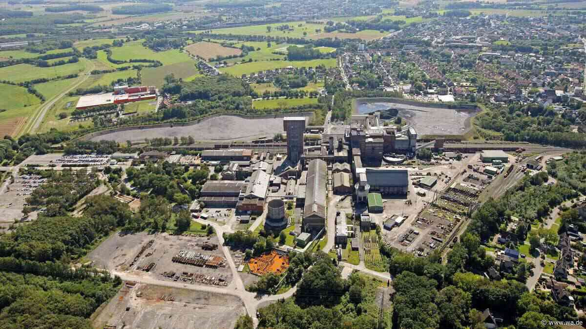 Platz für Unternehmen: Wo in Herringen neue Arbeitsplätze entstehen können