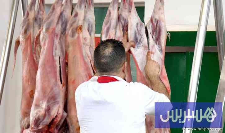 أسعار "الغنمي" تحلق عاليا .. ومهنيون يحذرون من