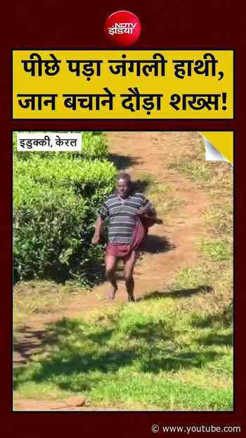 VIRAL VIDEO: हाथी के हमले से बचने के लिए लगाई दौड़, VIDEO वायरल | Elephant Attack Video | #shorts
