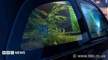 Artist creates cars filled with water to show tide