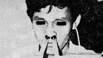 The weirdest and wackiest studies revealed in the Ig Nobels - including research on how to blow your nose and why teenagers are so smelly