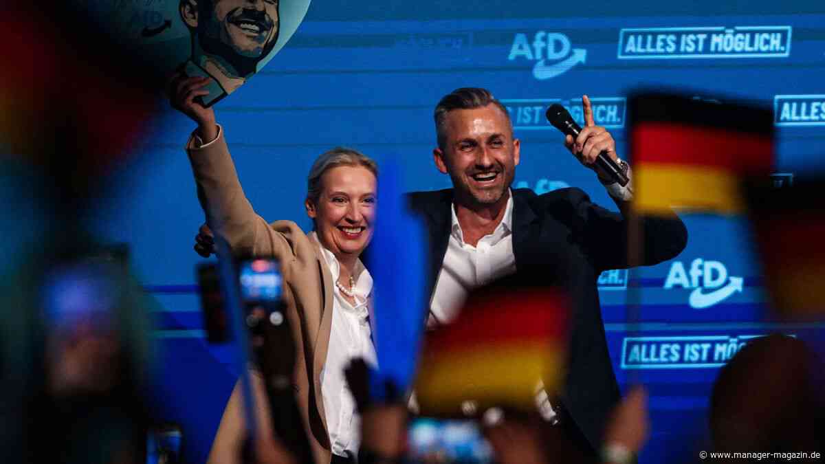 AfD in Sachsen-Anhalt: Womit Unternehmen bei einer Regierungsübernahme rechnen sollten