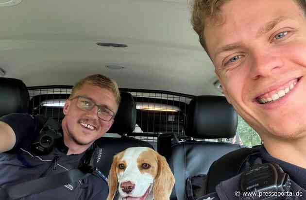 POL-OG: Rastatt, A5 - Beagle auf Autobahn gerettet - Mit guten Nachrichten ins Wochenende