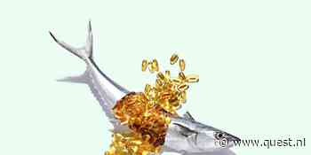 Is omega 3 bijslikken nuttig?