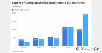 Hazelnoten blijven de motor van de Georgische export naar de EU