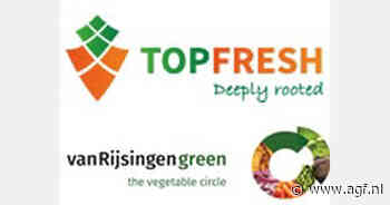 TopFresh breidt directie uit met Cees Leijten