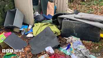 Forest school vandalism 'heartbreaking' - owner