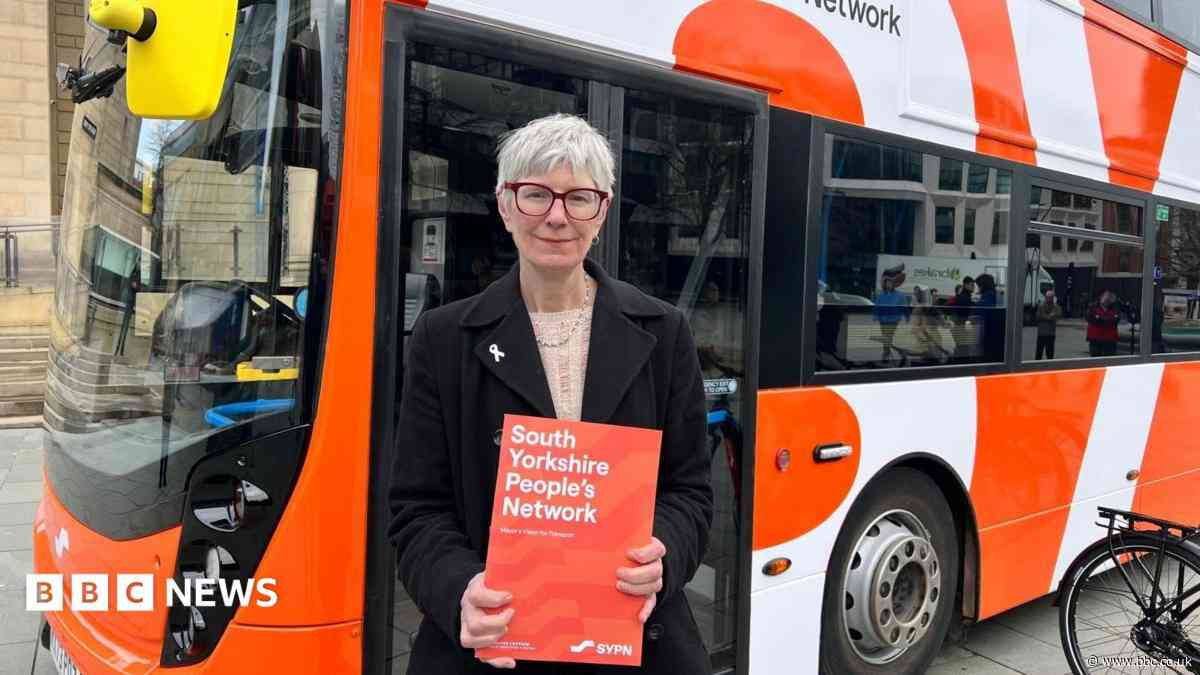 Free travel pilot scheme for young people approved