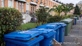 Council 'rule' over 'wrong' bin handle direction 'could see rubbish left behind'