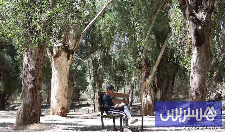 موجة حرارة تصل 46 درجة وزخات رعدية
