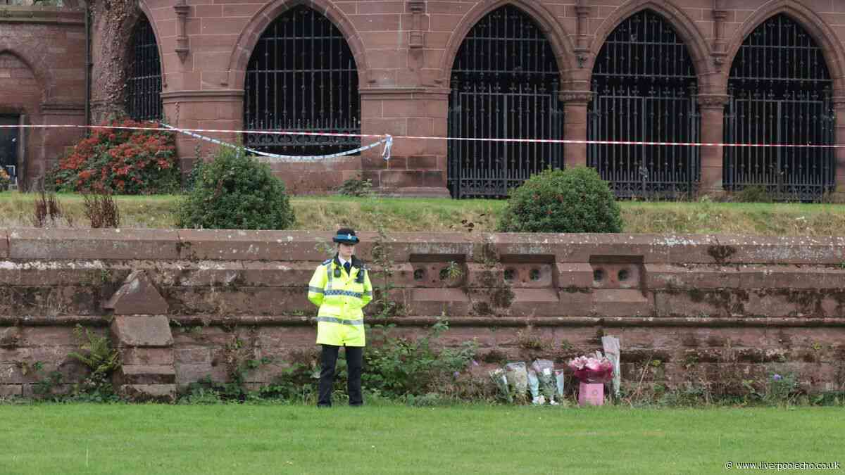 Stanley Park murder victim 'not on DNA database'