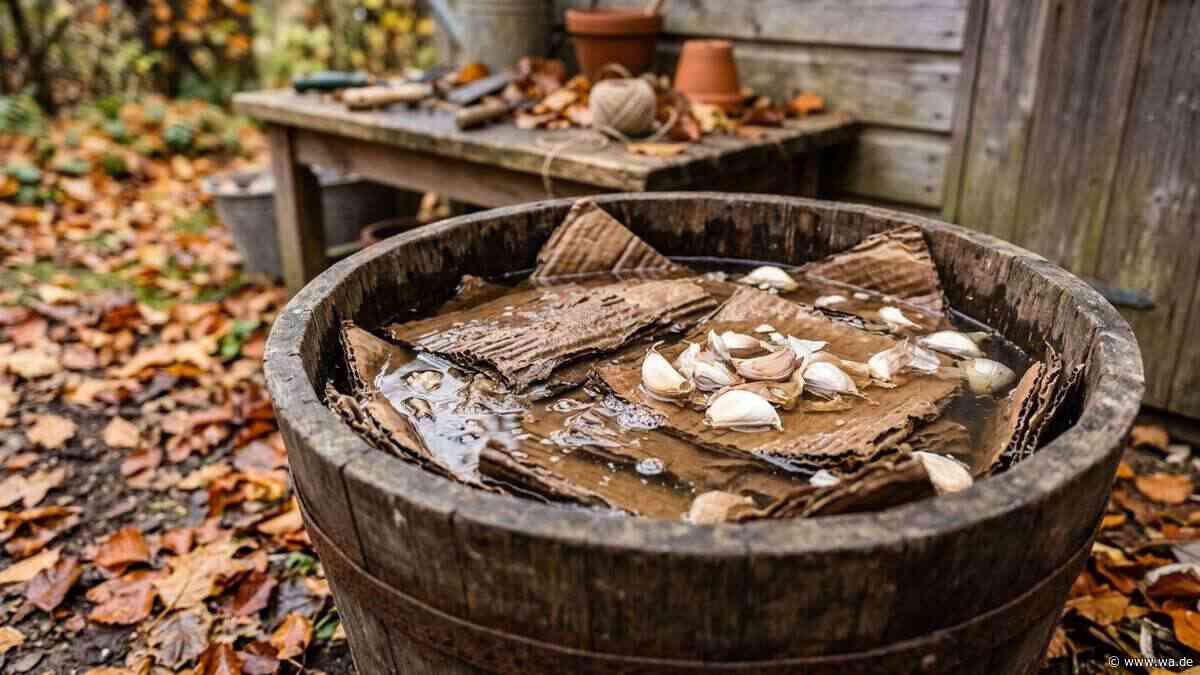 Dieser Gartentrick soll Wühlmäuse fernhalten
