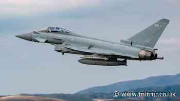 Argentina could not successfuly take Falkland Islands - despite leader's bluster
