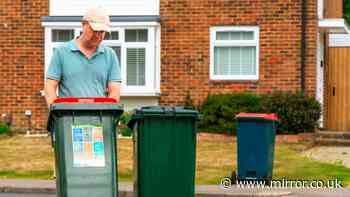 Binman says bin won't be left 'halfway down the road' if you put 1 item on lid