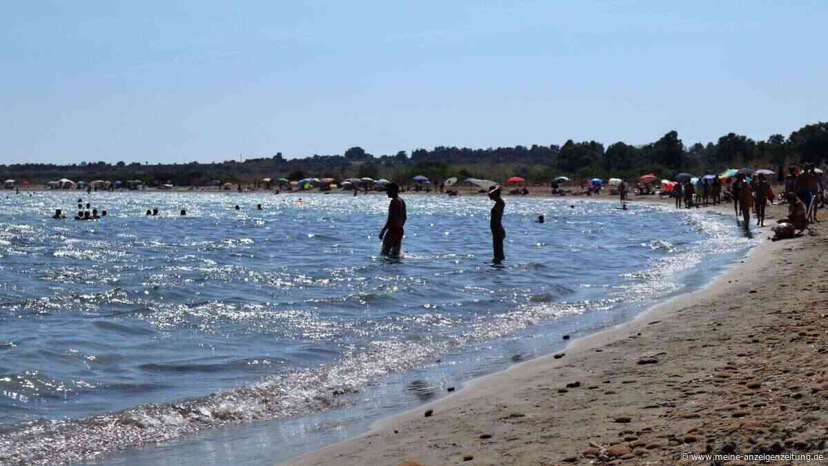 Italien klagt über Blaukraben-Invasion an Stränden: „Mittelmeer verändert sich“