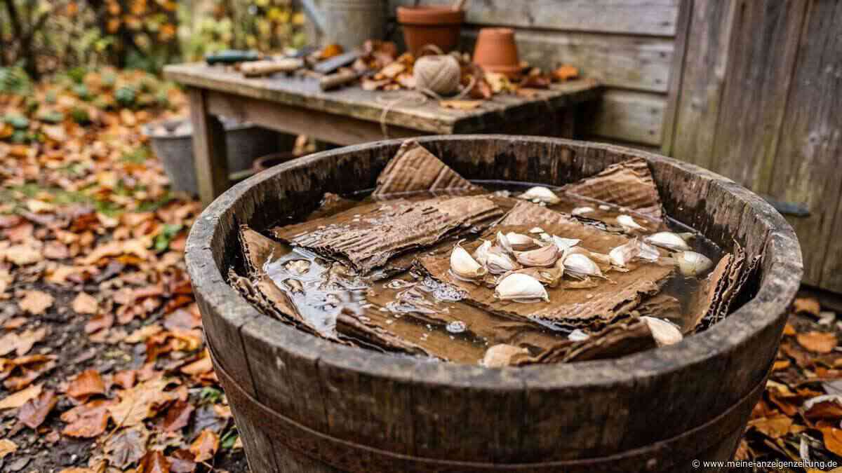 Dieser Gartentrick soll Wühlmäuse fernhalten