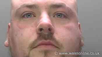 He throttled his partner and hurled her into a bath. When she fled he smashed up her home