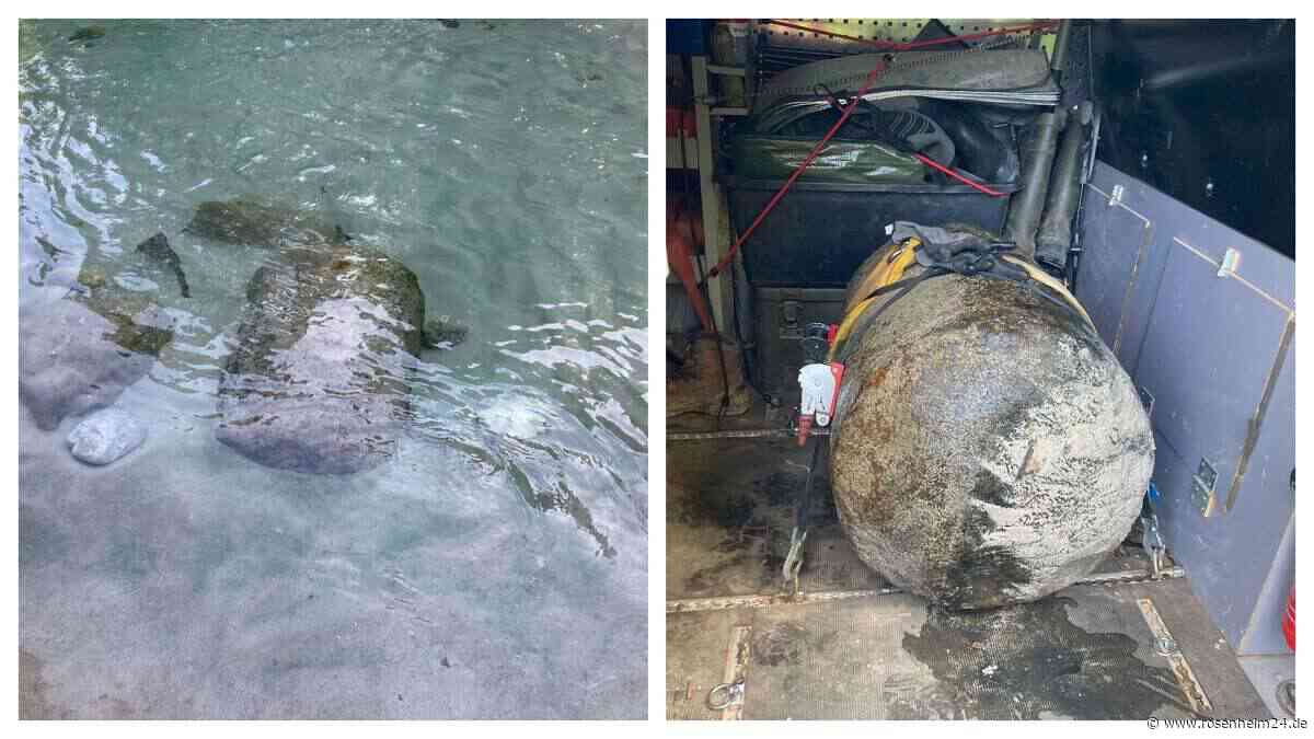 Gefährlicher Fund in der Berchtesgadener Ache – Bagger holt Nebelfass aus dem Wasser