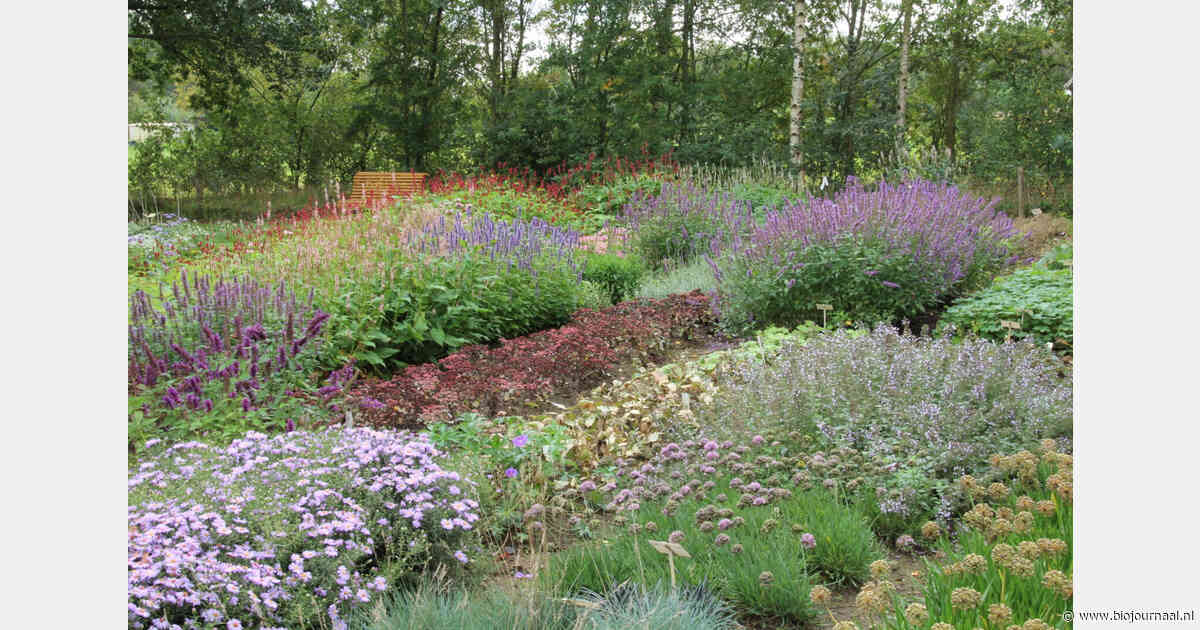 Biologische kwekerij De Stek doet mee aan Open Tuindag