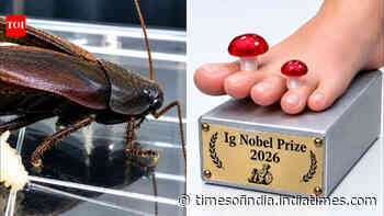 Cockroach milk crystals pack dense nutrients, earn scientists Ig Nobel Prize