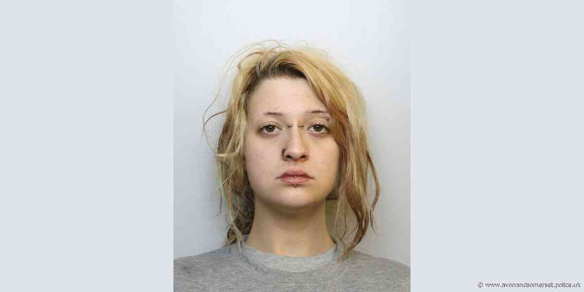 Woman sentenced after fatal dog attack in Bristol