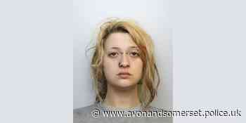 Woman sentenced after fatal dog attack in Bristol