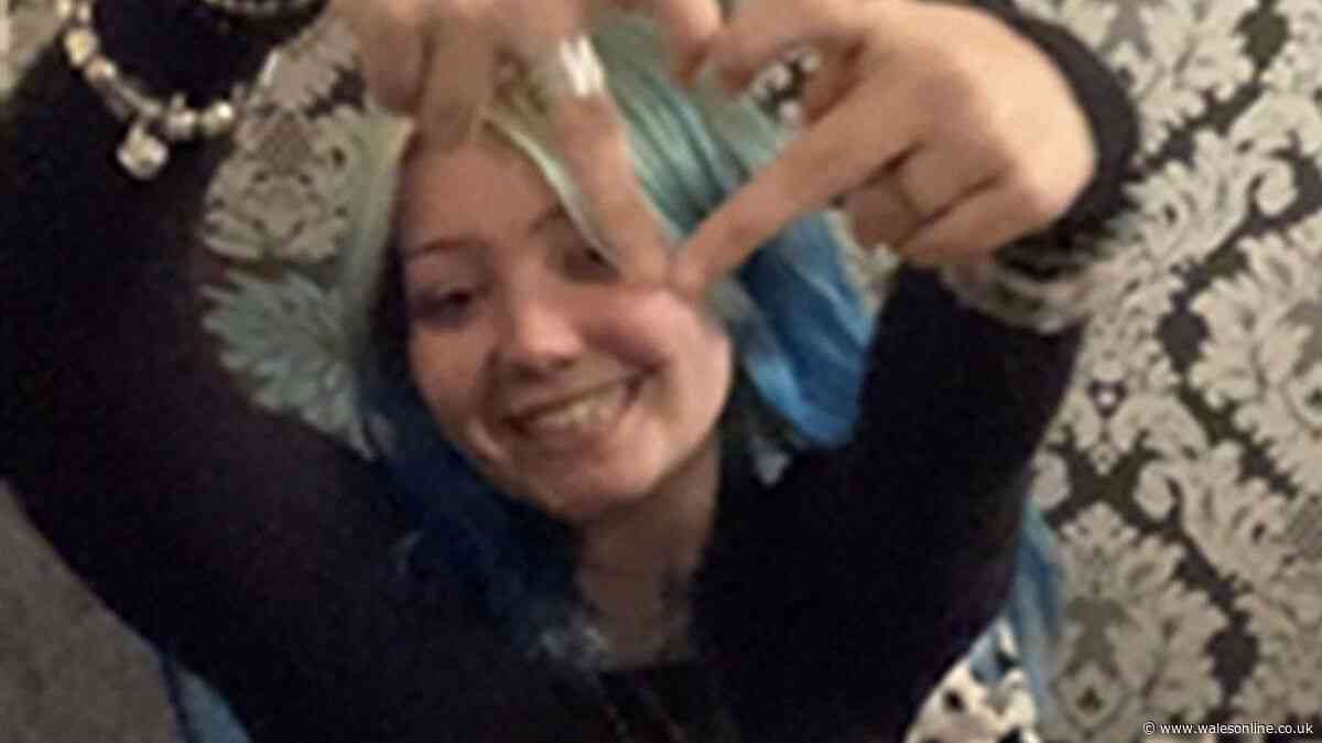 XL bully death teen remembered as cousin sentenced for being in charge of dog