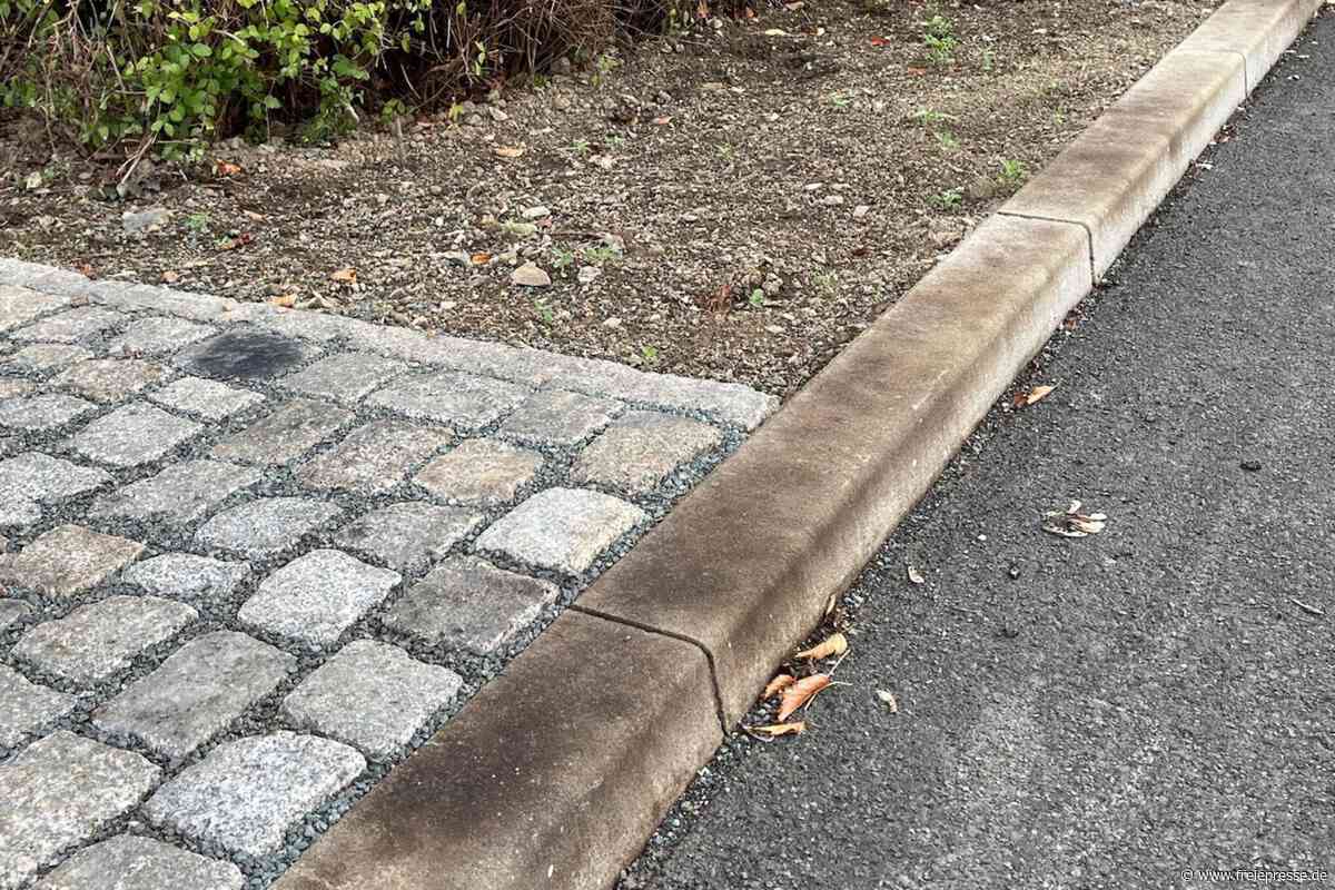 Sorgt Lausbefall für schwarze Flecken in Markneukirchen?