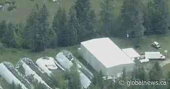 Only one person charged after RCMP dismantle Canada’s largest superlab