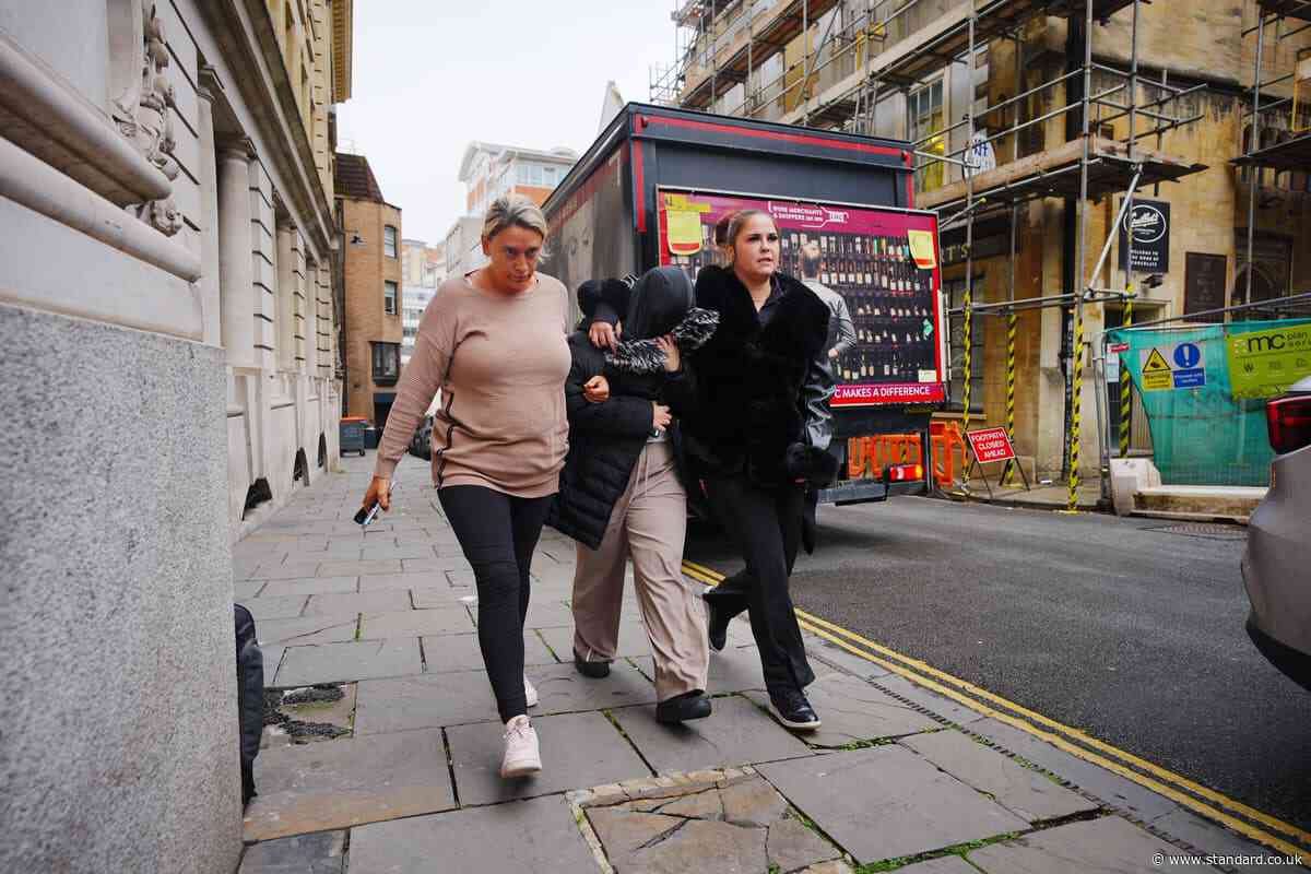 Woman avoids jail for fatal XL bully attack