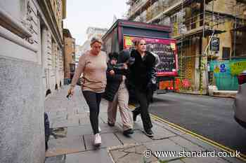 Woman avoids jail for fatal XL bully attack