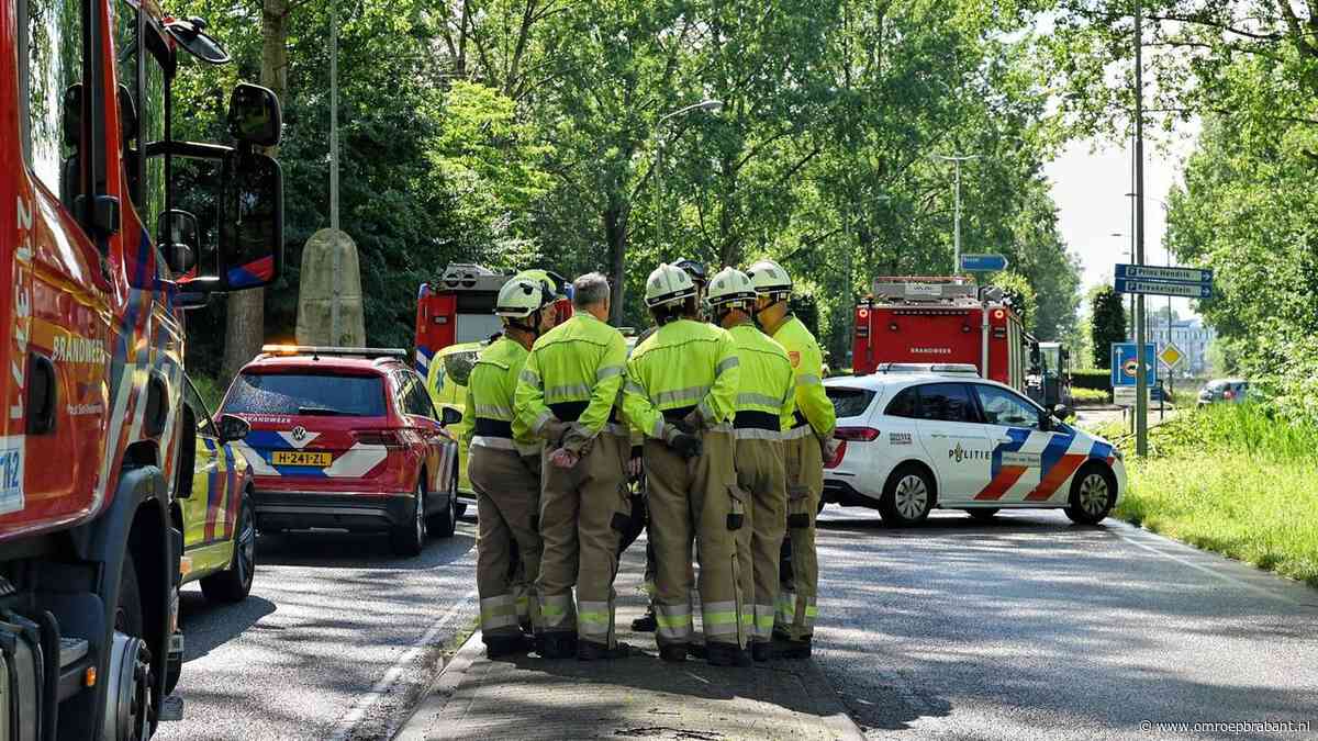 Boom die op auto viel waarbij man overleed, stond al maanden op kaplijst