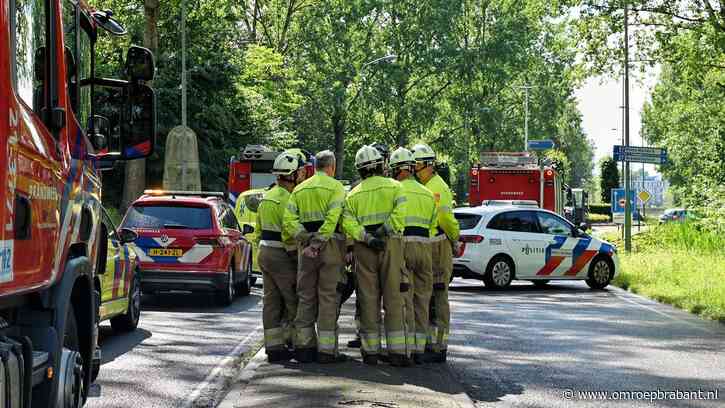 Boom die op auto viel waarbij man overleed, stond al maanden op kaplijst