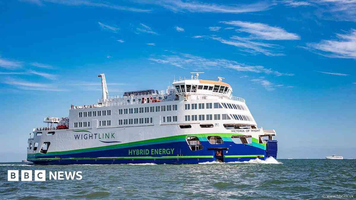 Ferry regulation risks sustainability, boss warns