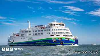 Ferry regulation risks sustainability, boss warns