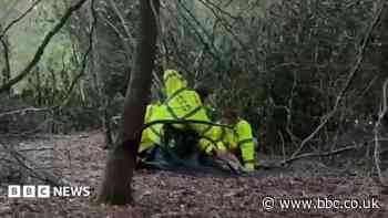 Rescue team release deer trapped in wire fencing