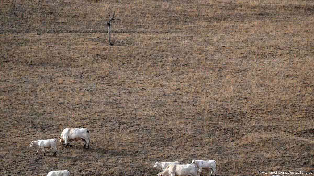 Paris stützt Landwirte nach Dürresommer mit Milliardenhilfe