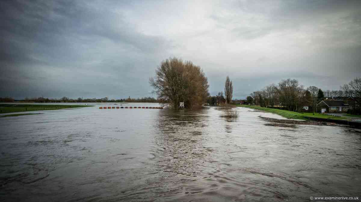 UK urged to stockpile food as 'world in for one hell of a ride' with extreme weather