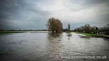 UK urged to stockpile food as 'world in for one hell of a ride' with extreme weather