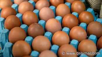 True number of salmonella infections could be 'around 2,000', top expert warns - amid ongoing UK outbreak linked to imported eggs
