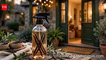 Try this simple DIY vanilla spray to make your front entrance smell fresh and inviting